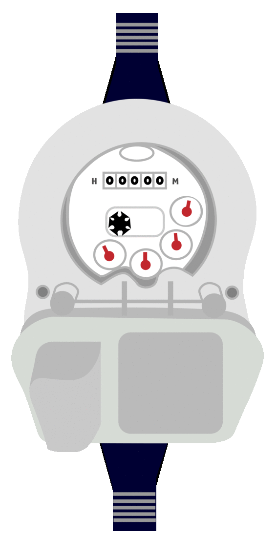 Skagway Smart Water Meter